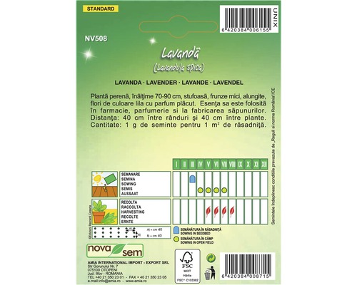 Pachet de semințe de lavandă