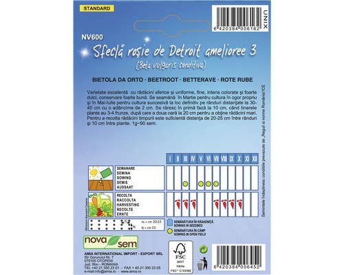Pachet de semințe de sfeclă roșie Detroit 3