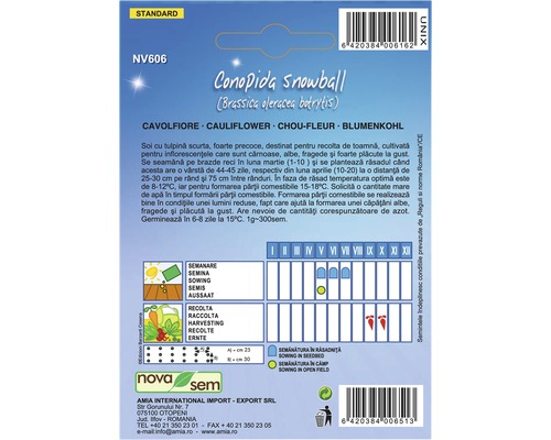Pachet de semințe Conopida Snowball conopidă pentru semănat