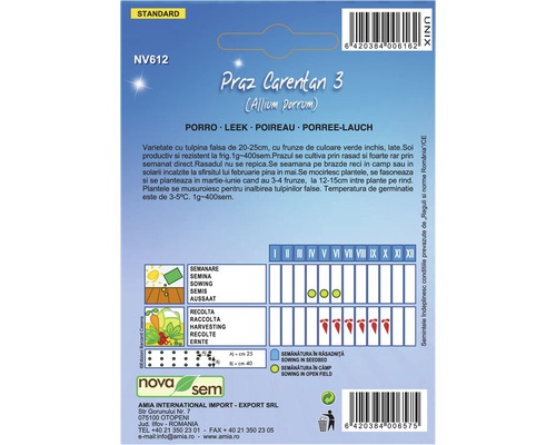 Pachet cu semințe de praz, soiul ''Praz Carentan 3''.