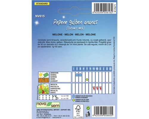 Pachet de semințe de pepene galben ananas