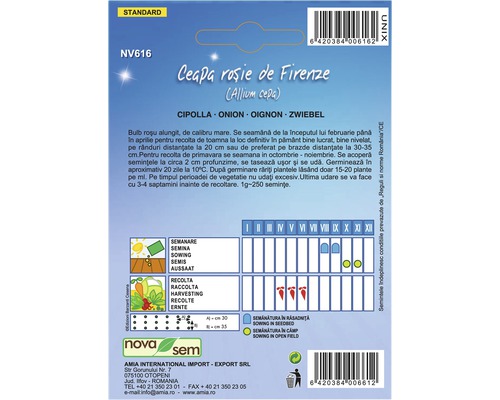 Pachet de semințe Ceapă roșie de Florența