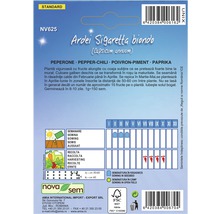Pachet semințe ardei Sigaretta Biondo