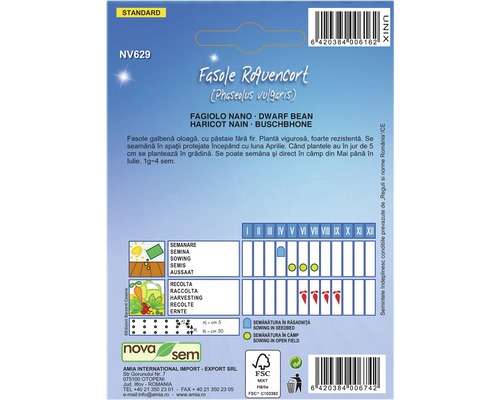 Pachet de semințe Fasole Roquencort