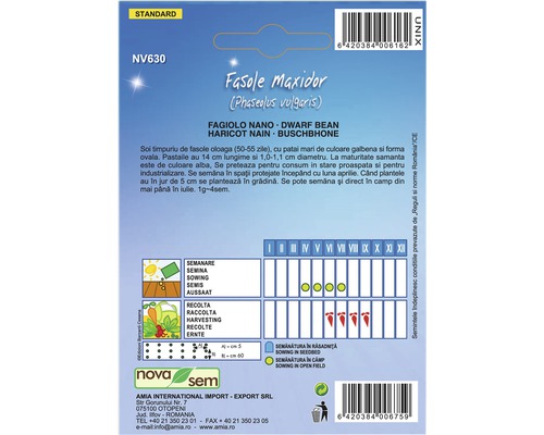 Pachet de semințe de fasole Maxidor pentru semănat