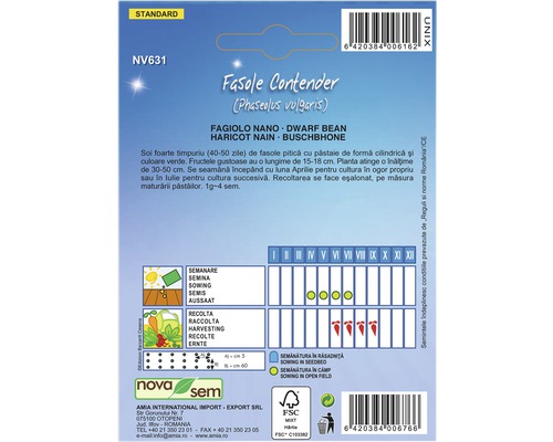Pachet de semințe Fasole Contender