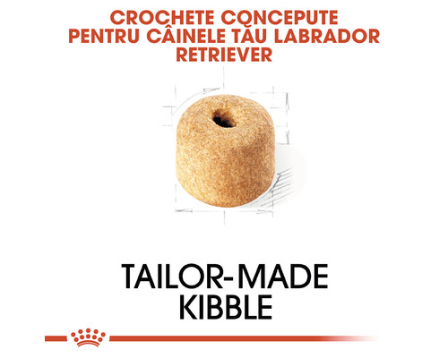 Crochete pentru câini Labrador Retriever