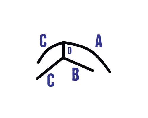 Ilustrație a punctelor de fixare A, B, C, D