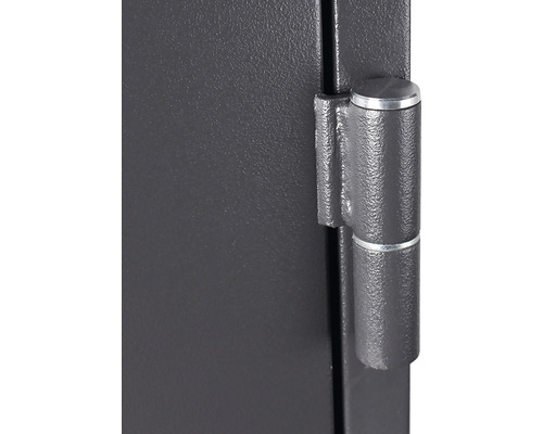 Detaliu balama ușă