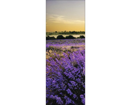 Peisaj cu câmp de lavandă la apus de soare