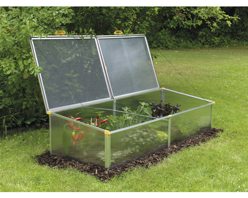 Răsadniță cu plante în grădină.