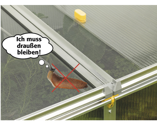 Prim-plan cu o seră cu un melc tăiat și cu balonul de text Trebuie să stau afară!