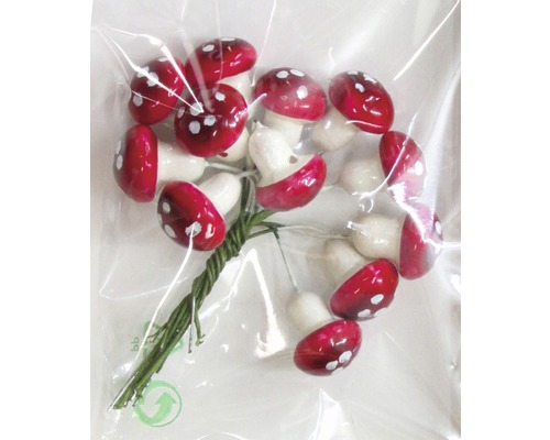 Amanite muscarie decorative cu sârmă într-un pachet