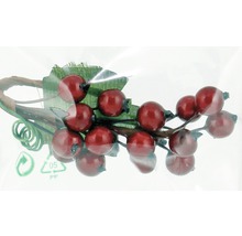 Ramură decorativă cu fructe roșii de pădure și frunze verzi