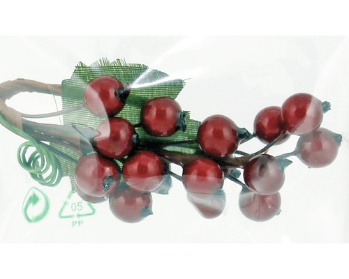 Ramură decorativă cu fructe roșii de pădure și frunze verzi