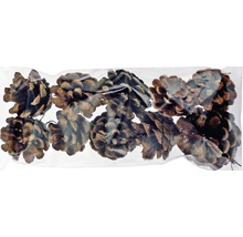 Conuri de pin în sac transparent pentru decorare