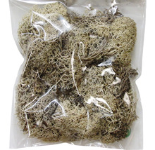 Mușchi de ren în pungă de plastic