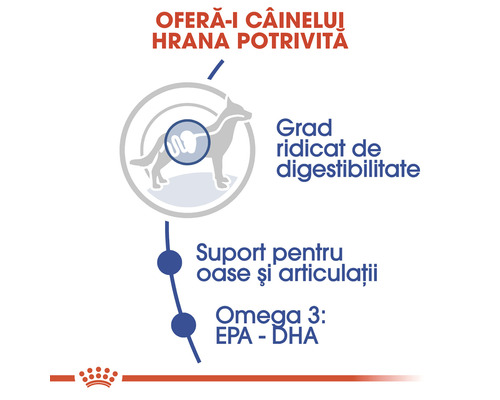 Avantaje hrană câini: Digestibilitate ridicată, suport pentru oase și articulații, Omega 3 EPA DHA