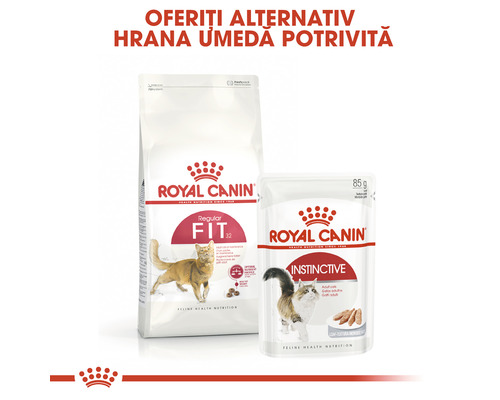 Siglă Royal Canin, hrană pentru pisici, hrană uscată și hrană umedă pentru pisici adulte