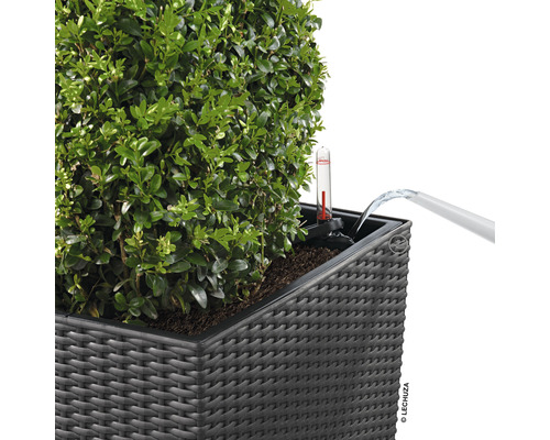 Udarea unui vas de plantare cu indicator de nivel al apei