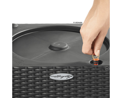 O persoană introduce o monedă într-un ghiveci Lechuza.