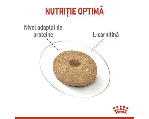 Crochetă de mâncare uscată pentru câini cu nivel adaptat de proteine și L-carnitină