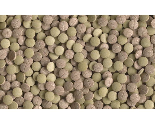 Multe tablete cu hrană pentru pești de iaz