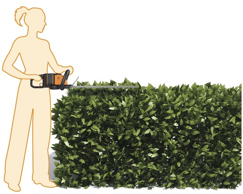 O femeie taie un gard viu cu o foarfecă de tăiat gardul viu.