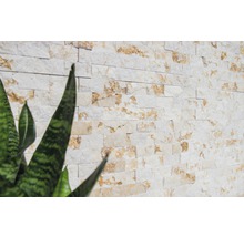 Placare de perete din piatră naturală cu plante în prim-plan