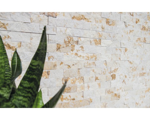 Placare de perete din piatră naturală cu plante în prim-plan