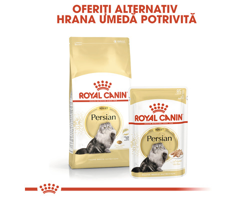 Royal Canin Persian Adult hrană pentru pisici, hrană uscată și umedă
