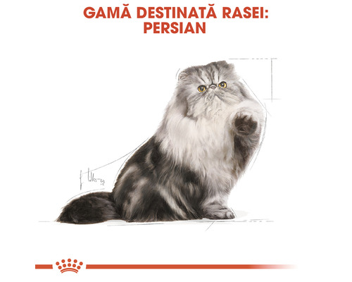 Gama de produse pentru pisici persane