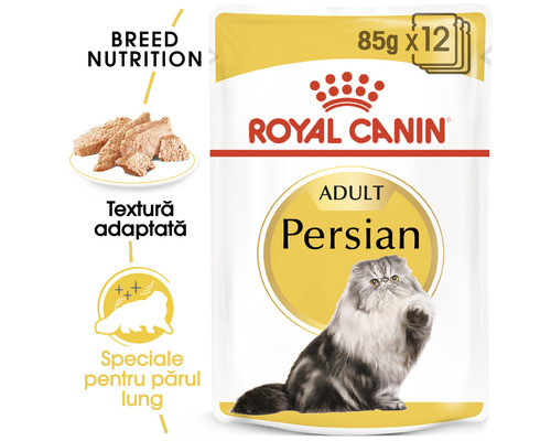 Royal Canin Adult Persian hrană pentru pisici în plic de 85 grame, pachet de 12