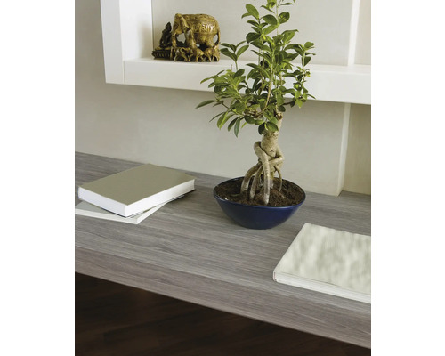 Scenă cu un bonsai într-un bol, cărți și o figurină de elefant pe un raft