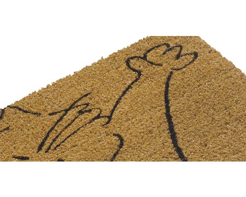 Covoraș de intrare din fibră de cocos cu model