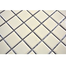 Mozaic piscină ceramic CG 174 bej mat 30x30 cm