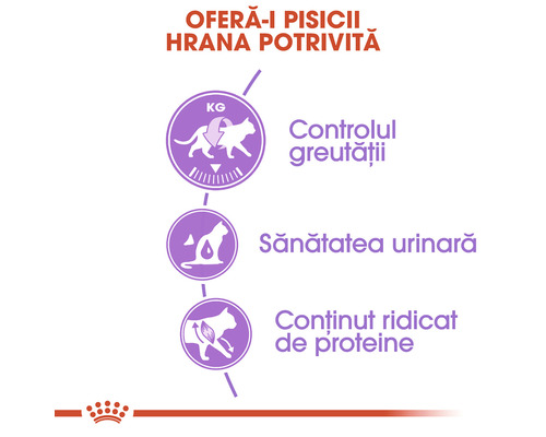 Beneficiile hranei pentru pisici: controlul greutății, sănătatea urinară, conținut ridicat de proteine