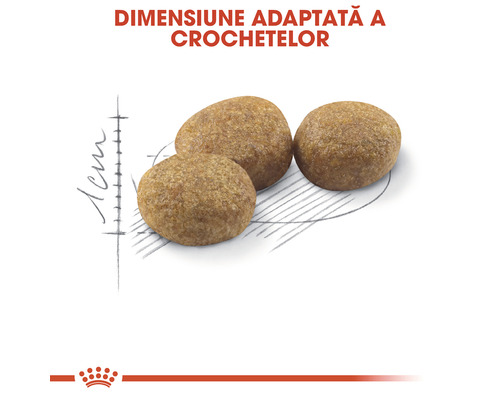 Prim-plan cu trei bucăți de hrană uscată pentru animale de companie, cu indicație de dimensiune