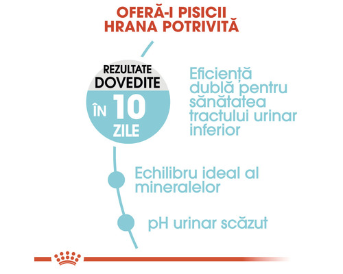 Rezultate dovedite în zece zile pentru sănătatea tractului urinar inferior, echilibru ideal al mineralelor și pH urinar scăzut.