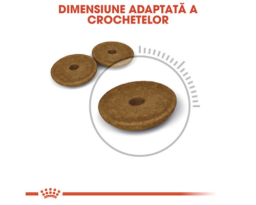 Bucată de mâncare uscată pentru pisici în formă de inel
