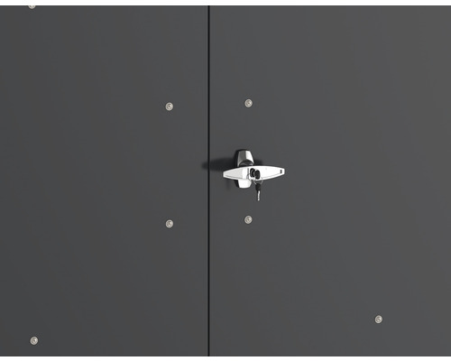 Imagine detaliată cu o ușă de dulap de grădină cu mâner și cheie