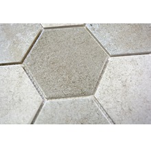 Mozaic piscină ceramic CIM HX9 CM gri 25,6x29,5 cm