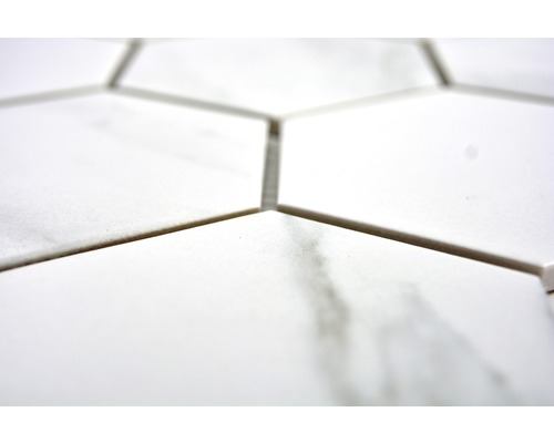 Prim-plan cu plăci hexagonale