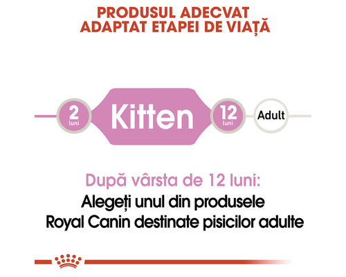 Produsul potrivit pentru fiecare etapă din viața unei pisici: hrană pentru pisoi până la 12 luni, apoi hrană pentru pisici adulte.