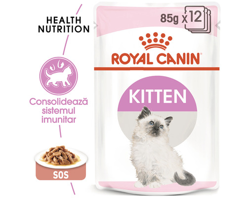 Royal Canin Kitten, hrană pentru pisoi, pachet multiplu cu douăsprezece porții de 85 de grame fiecare