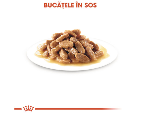 Bucățele în sos pe o farfurie
