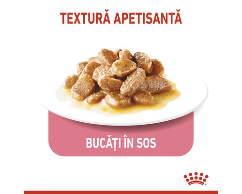 Bucăți de mâncare pentru pisici în sos pe o farfurie