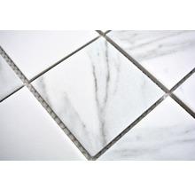 Mozaic piscină ceramic CIM Q73 CR alb 30,6x30,6 cm