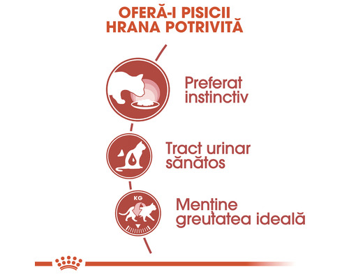 Avantajele hranei pentru pisici: preferat instinctiv, tract urinar sănătos, menține greutatea ideală