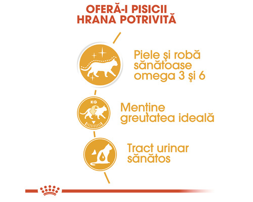 Benefits of the cat food: healthy skin and coat, maintaining ideal weight, healthy urinary tract.